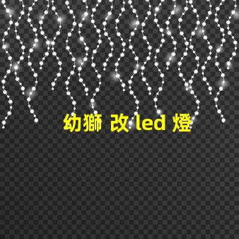 幼獅 改 led 燈珠